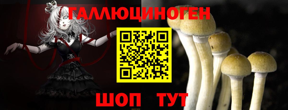 Галлюциногенные грибы прущие грибы  как найти   Алатырь  Вход с VPN 